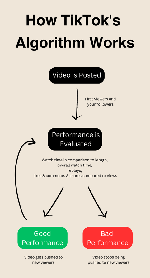 How TikToks Algorithm Works