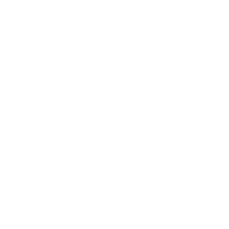 WP-logo tab number 2