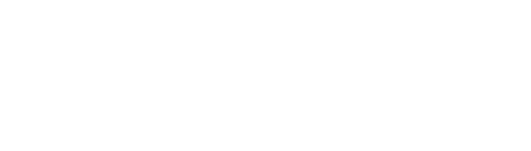 Shopify-Logo tab number 7