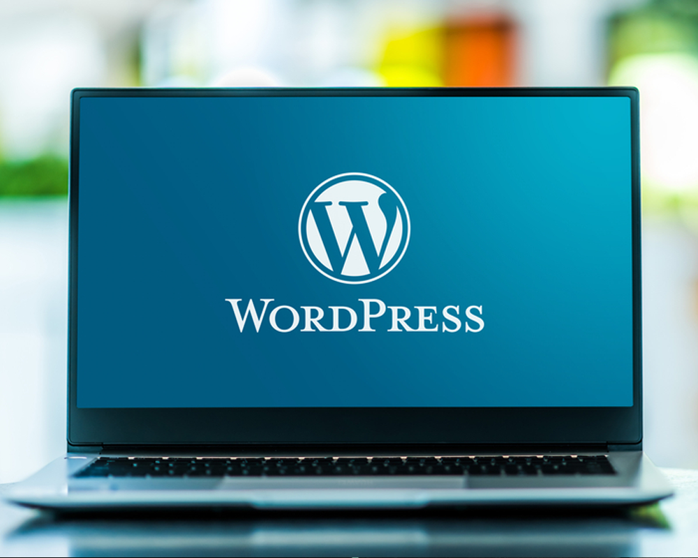 What are the Pros and Cons of using WordPress?