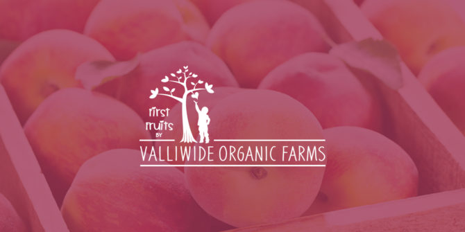 First Fruits by Valliwide Organic
